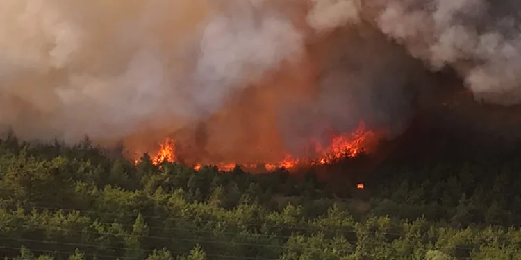 Karabük’te orman yangını kontrol altına alındı