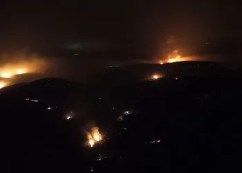 Bursa’daki yangında alevler etkisini kaybetti