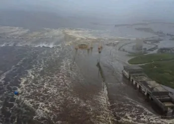 “Tsunaminin ilk dalgası hasarsız atlatıldı”