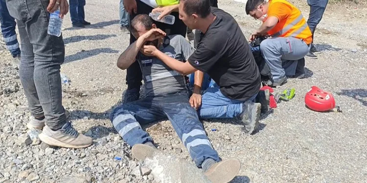 Baygınlık geçirdi, ayıldığında hayvanlar için gözyaşı döktü