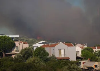 İzmir’de orman yangınları: 1 kişi hayatını kaybetti