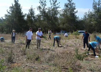 Hükümlüler, 15 Temmuz Şehitleri anısına fidan dikti