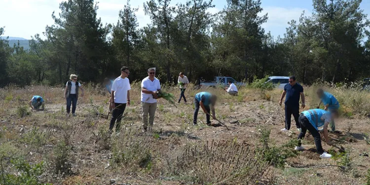 Hükümlüler, 15 Temmuz Şehitleri anısına fidan dikti