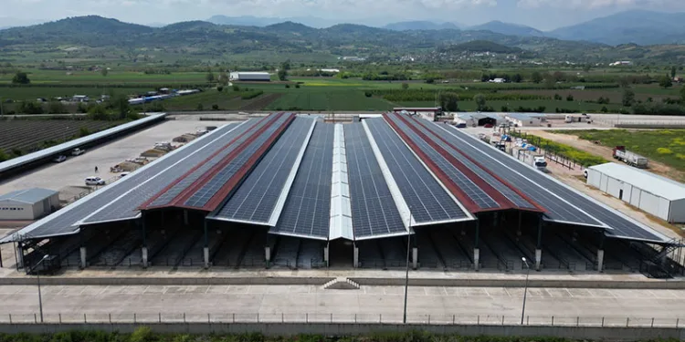 Güneşten ayda 1,2 milyonluk kazanım