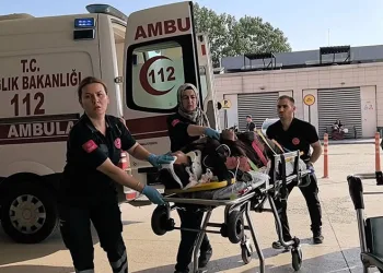 Nilüfer’deki orman yangını kontrol altına alındı