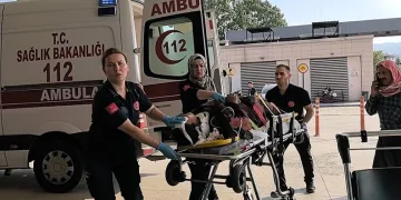 Nilüfer’deki orman yangını kontrol altına alındı