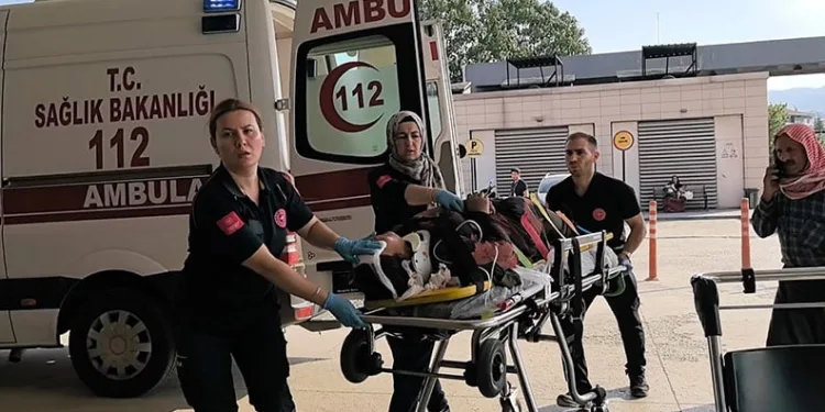 Nilüfer’deki orman yangını kontrol altına alındı