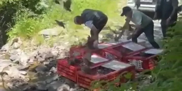 Kene ile mücadele timleri doğaya salındı