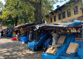 Bursa’nın tarihi köyüne düzen geliyor