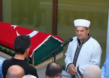 Yeşil Bursa’nın yemyeşil ormanları böyle karardı