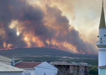 Tekirdağ’da orman yangını: 2 mahalle tahliye edildi