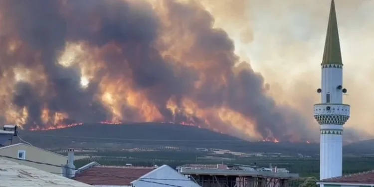 Tekirdağ’da orman yangını: 2 mahalle tahliye edildi