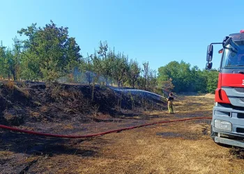 Ukrayna fahri konsolosları buluştu