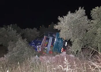 Bursa’da biber yüklü kamyon zeytinliğe uçtu: 1 yaralı