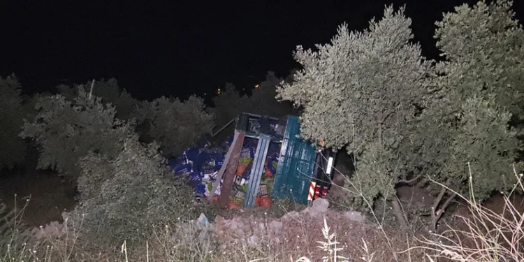 Bursa’da biber yüklü kamyon zeytinliğe uçtu: 1 yaralı