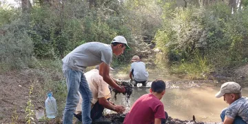 Sıcaktan bunaldı yavru kangal ile aynı varilin içinde serinledi