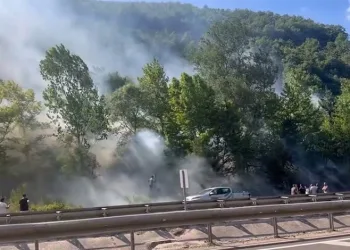Bursa’da ormanlık alanda çıkan yangına müdahale sürüyor
