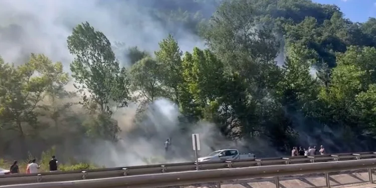 Bursa’da ormanlık alanda çıkan yangına müdahale sürüyor