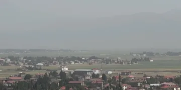 Kırşehir’de ‘yamyam tombul çekirge’ görüldü