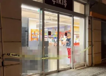 Bursa’da orman yangını