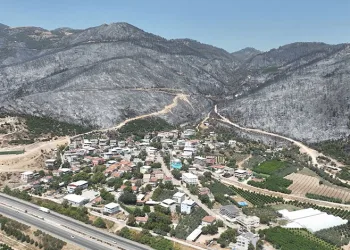 Yeşil Bursa’nın yemyeşil ormanları böyle karardı