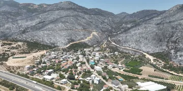 Yeşil Bursa’nın yemyeşil ormanları böyle karardı