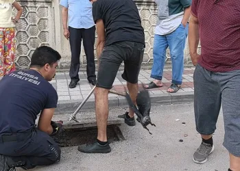 Rögarda mahsur kalan kargayı itfaiye kurtardı