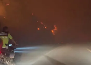 Bursa’nın ciğerleri yanıyor