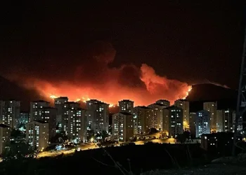 Bursa’nın ciğerleri yanıyor