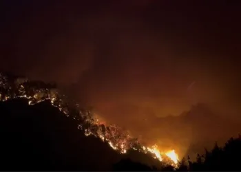 Bursa’nın ciğerleri yanıyor