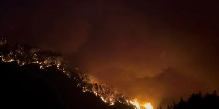 Bursa’nın ciğerleri yanıyor