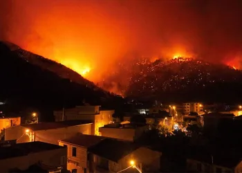 Bursa’nın ciğerleri yanıyor