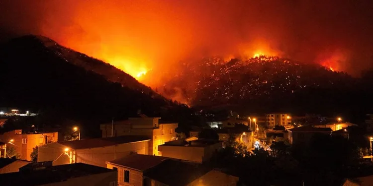 Bursa’nın ciğerleri yanıyor