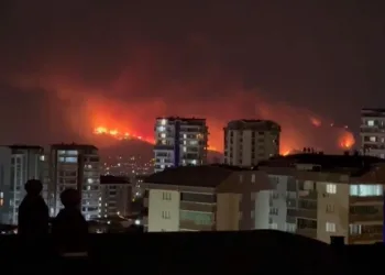 Bursa’nın ciğerleri yanıyor