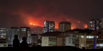 Bursa’nın ciğerleri yanıyor