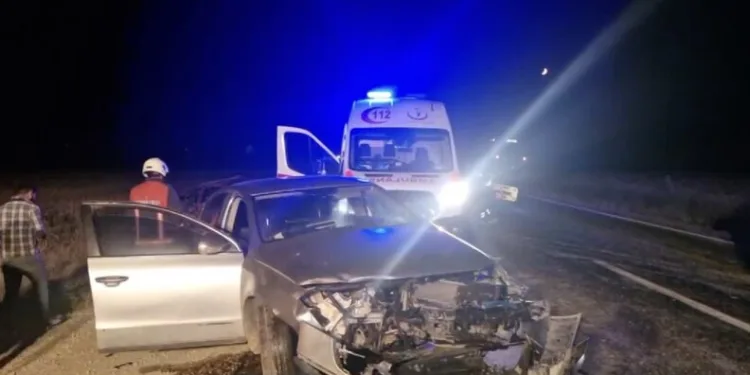 Bozdoğan’da trafik kazası: 2 yaralı