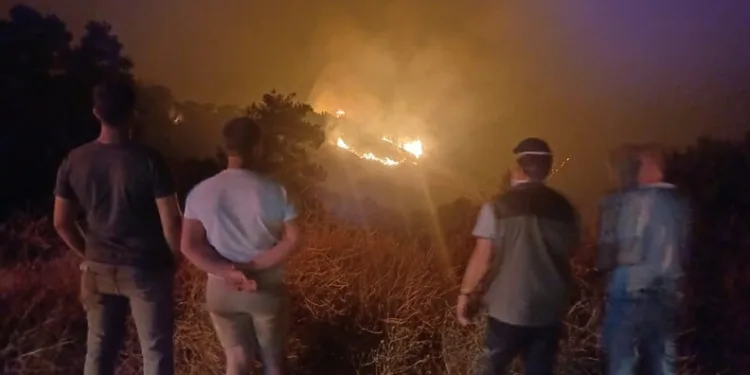 Bozdoğan’da trafik kazası: 2 yaralı