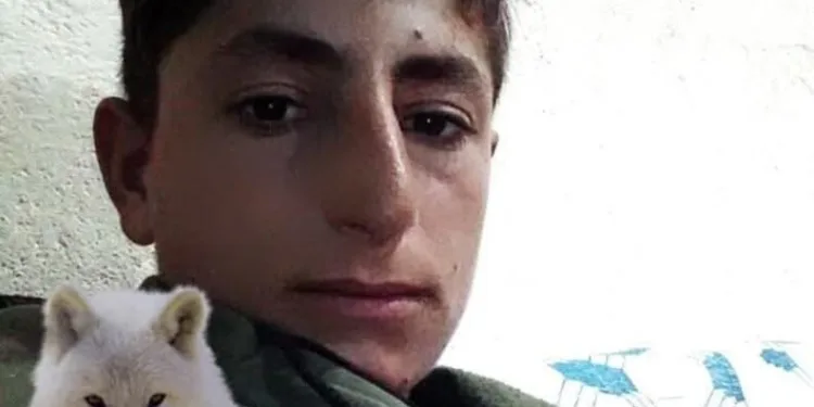 Bozdoğan’da trafik kazası: 2 yaralı