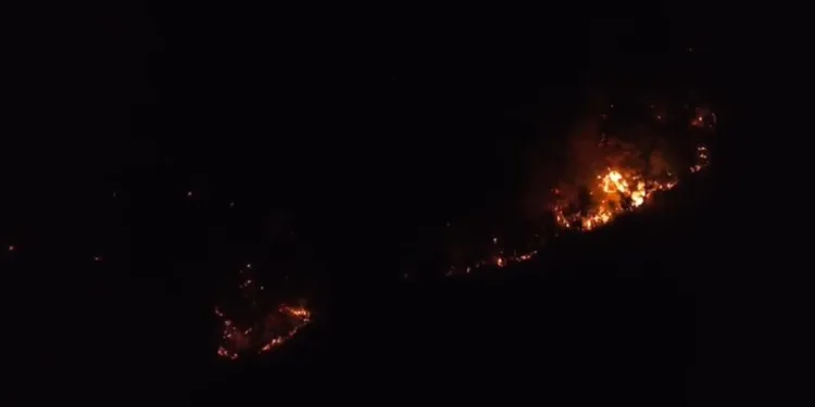 Bozdoğan’da trafik kazası: 2 yaralı
