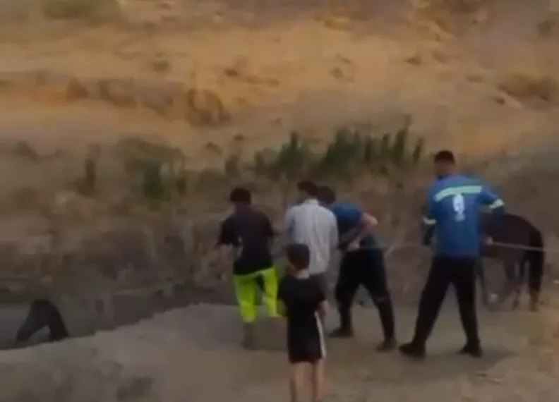 Nevşehir’de sürücünün ortalığı birbirine kattığı kaza görüntüleri ortaya çıktı
