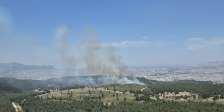 Nevşehir’de sürücünün ortalığı birbirine kattığı kaza görüntüleri ortaya çıktı