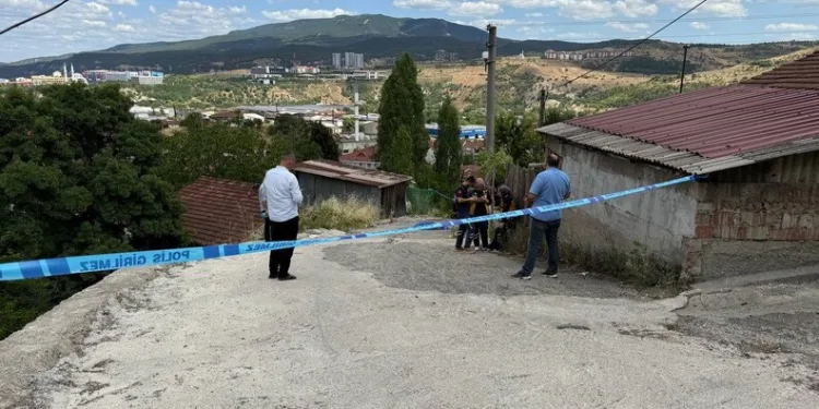 Gönen’de çıkan ot yangınında maddi zarar oluştu
