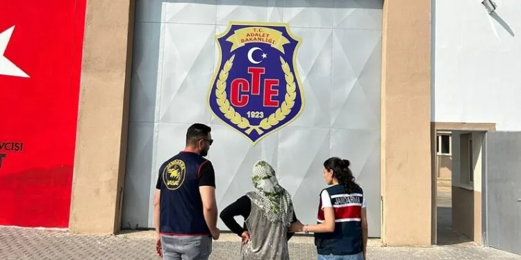 Gönen’de çıkan ot yangınında maddi zarar oluştu