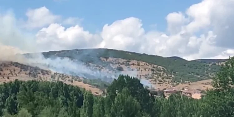 Gönen’de çıkan ot yangınında maddi zarar oluştu