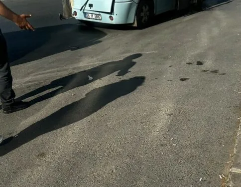 Adana’da yangında 5 inek telef oldu