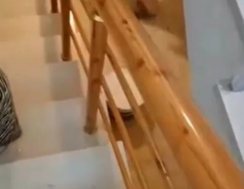Adana’da yangında 5 inek telef oldu