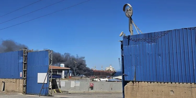 Adana’da yangında 5 inek telef oldu