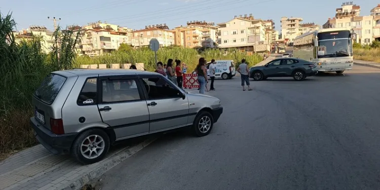 Adana’da yangında 5 inek telef oldu