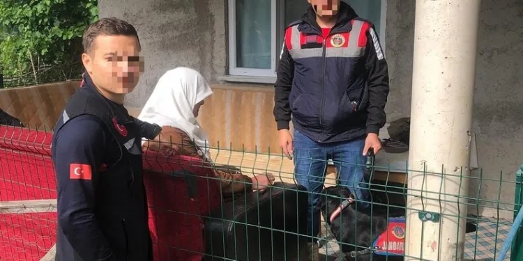 Adana’da yangında 5 inek telef oldu