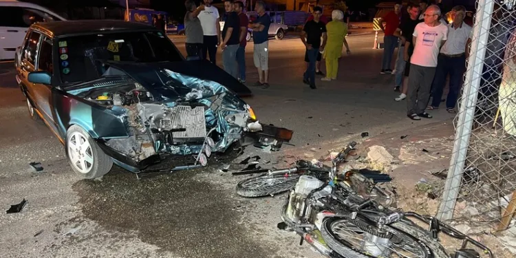 Adana’da yangında 5 inek telef oldu